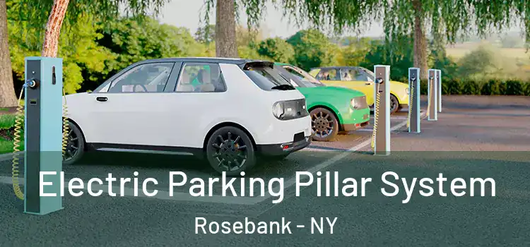 Electric Parking Pillar System Rosebank - NY