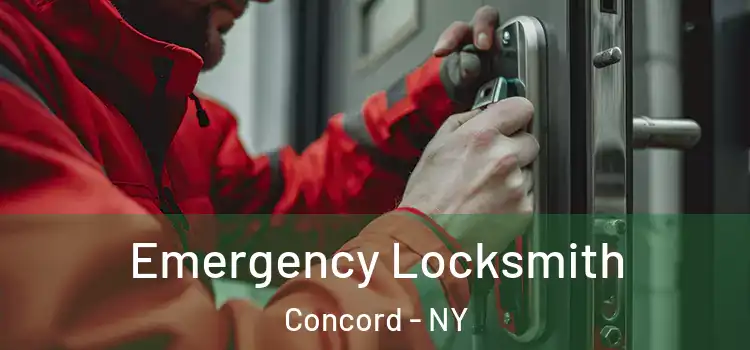 Emergency Locksmith Concord - NY