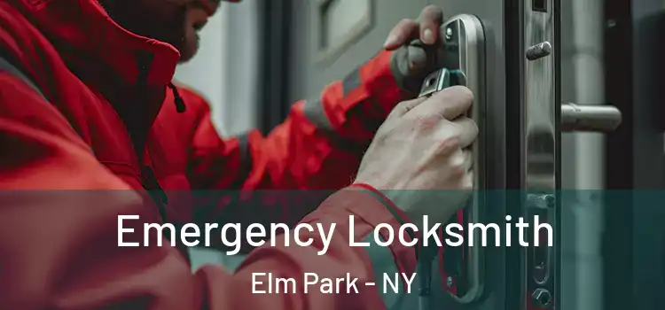 Emergency Locksmith Elm Park - NY