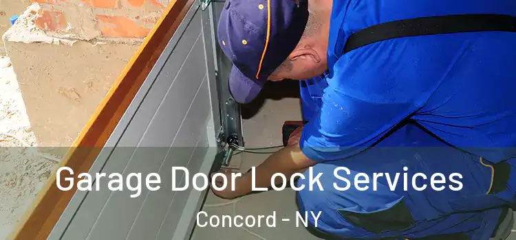 Garage Door Lock Services Concord - NY