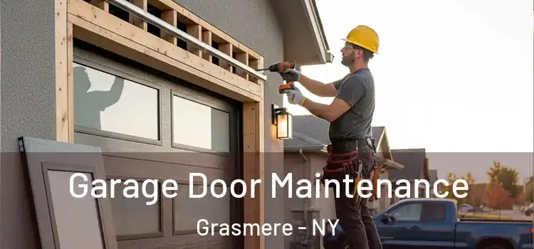 Garage Door Maintenance Grasmere - NY