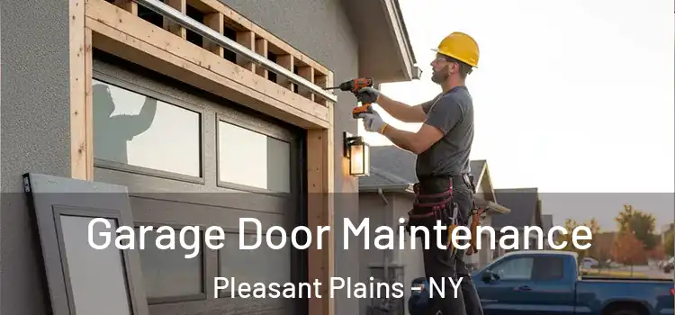 Garage Door Maintenance Pleasant Plains - NY