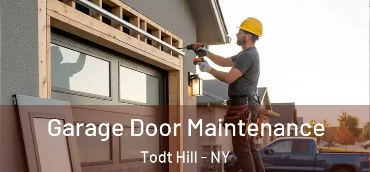 Garage Door Maintenance Todt Hill - NY