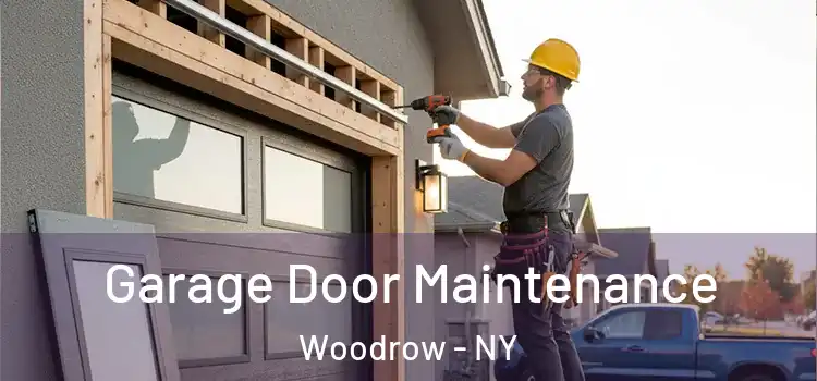 Garage Door Maintenance Woodrow - NY