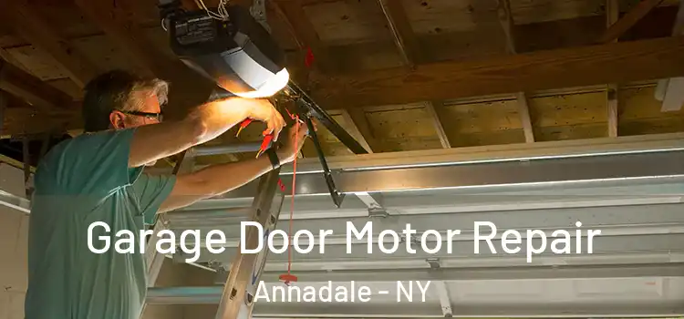  Garage Door Motor Repair Annadale - NY