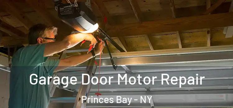  Garage Door Motor Repair Princes Bay - NY
