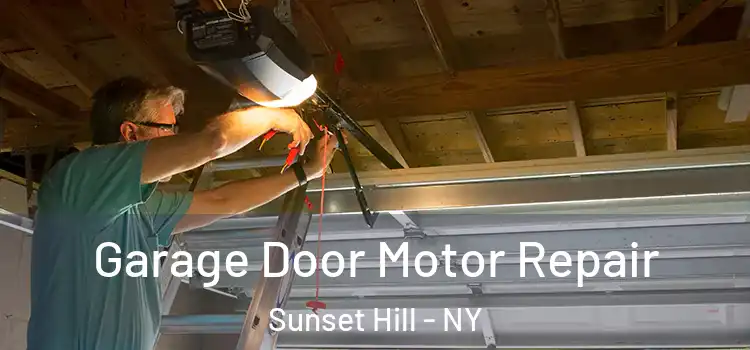  Garage Door Motor Repair Sunset Hill - NY
