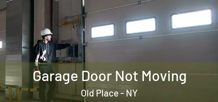  Garage Door Not Moving Old Place - NY