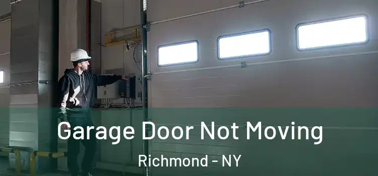  Garage Door Not Moving Richmond - NY