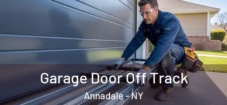  Garage Door Off Track Annadale - NY