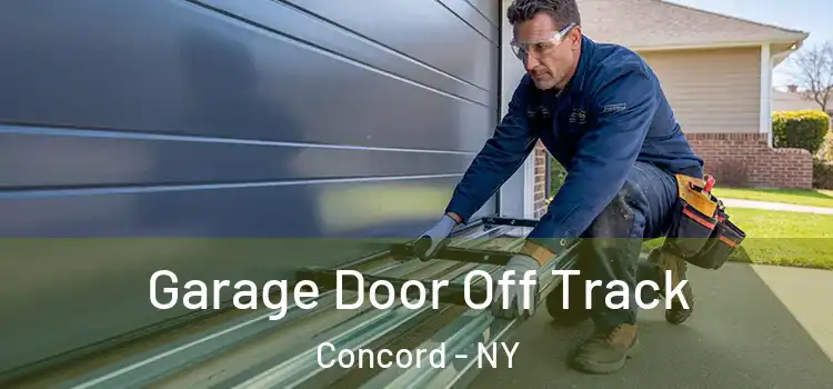  Garage Door Off Track Concord - NY