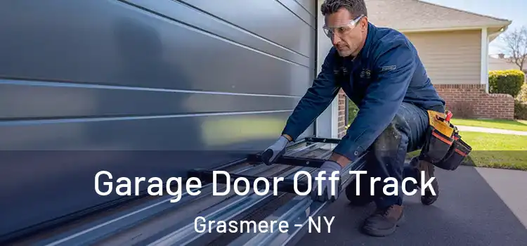 Garage Door Off Track Grasmere - NY