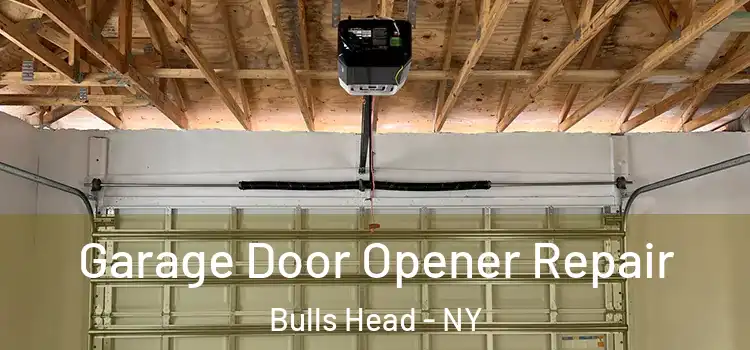  Garage Door Opener Repair Bulls Head - NY