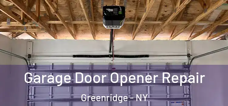  Garage Door Opener Repair Greenridge - NY