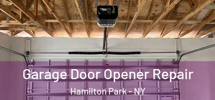  Garage Door Opener Repair Hamilton Park - NY