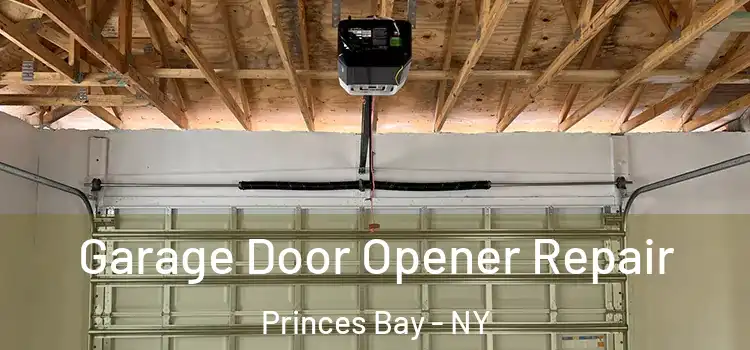  Garage Door Opener Repair Princes Bay - NY