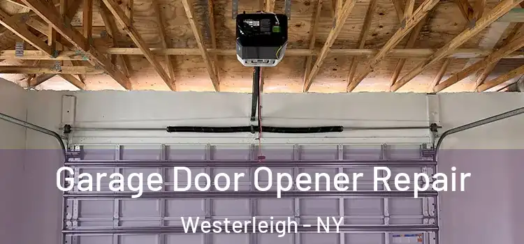 Garage Door Opener Repair Westerleigh - NY