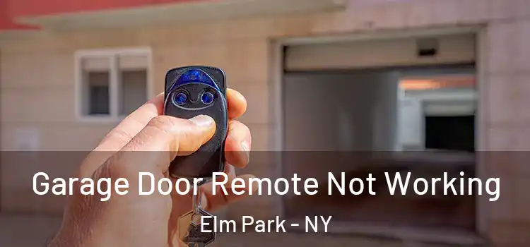  Garage Door Remote Not Working Elm Park - NY