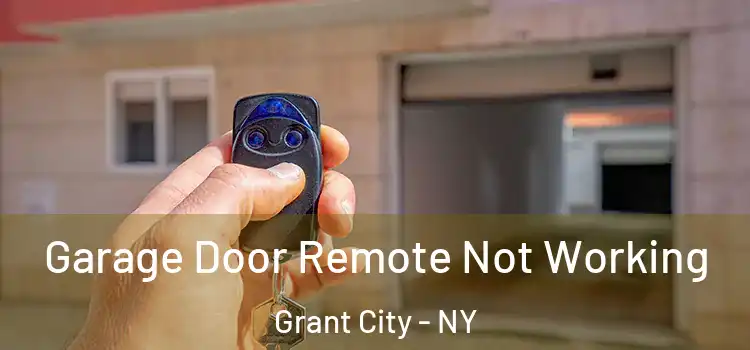  Garage Door Remote Not Working Grant City - NY