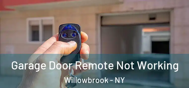 Garage Door Remote Not Working Willowbrook - NY