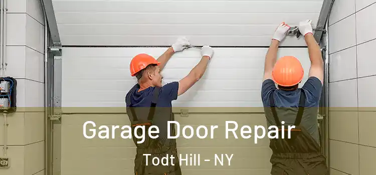  Garage Door Repair Todt Hill - NY