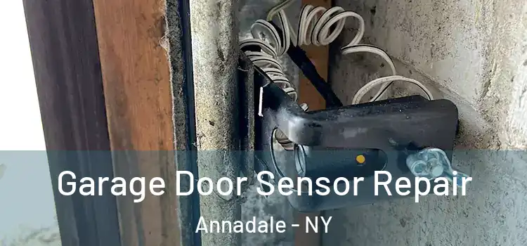  Garage Door Sensor Repair Annadale - NY
