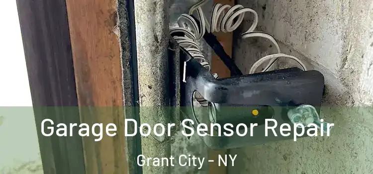 Garage Door Sensor Repair Grant City - NY