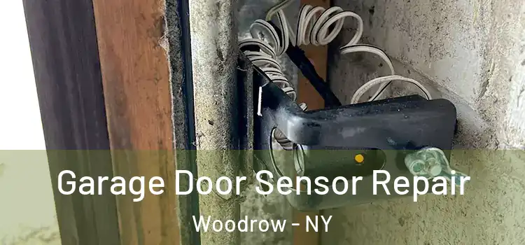Garage Door Sensor Repair Woodrow - NY