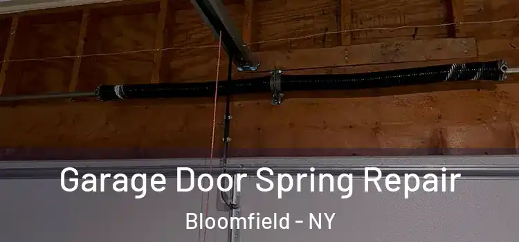  Garage Door Spring Repair Bloomfield - NY