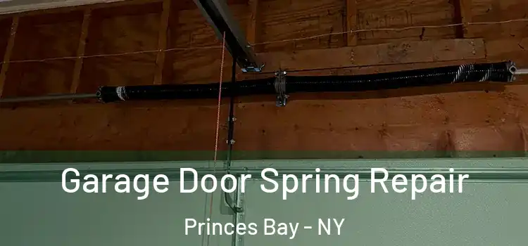  Garage Door Spring Repair Princes Bay - NY