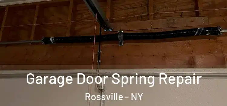 Garage Door Spring Repair Rossville - NY