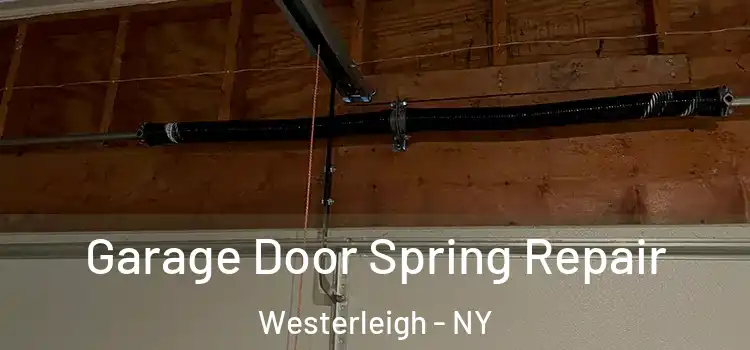  Garage Door Spring Repair Westerleigh - NY