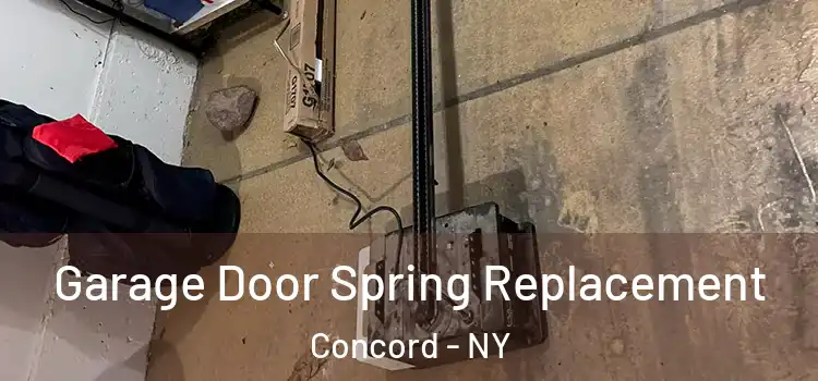  Garage Door Spring Replacement Concord - NY