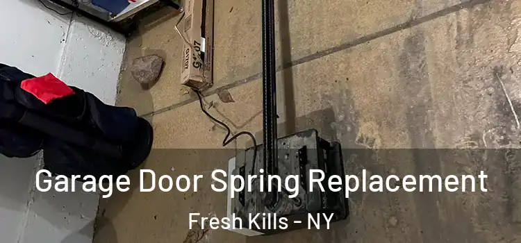  Garage Door Spring Replacement Fresh Kills - NY