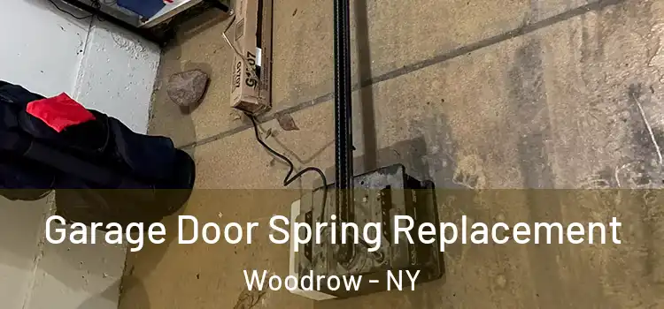  Garage Door Spring Replacement Woodrow - NY