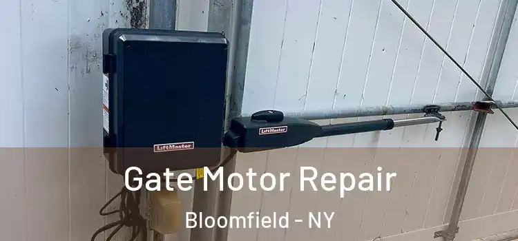 Gate Motor Repair Bloomfield - NY