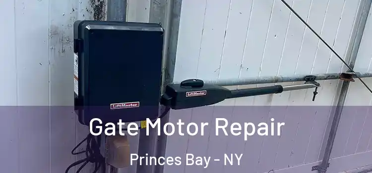 Gate Motor Repair Princes Bay - NY