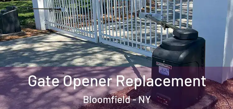  Gate Opener Replacement Bloomfield - NY