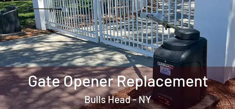  Gate Opener Replacement Bulls Head - NY