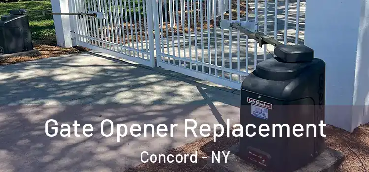  Gate Opener Replacement Concord - NY