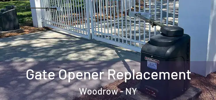  Gate Opener Replacement Woodrow - NY