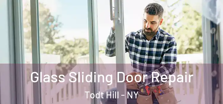 Glass Sliding Door Repair Todt Hill - NY