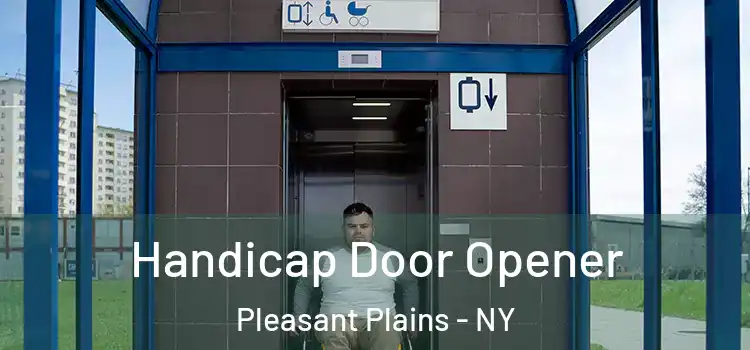 Handicap Door Opener Pleasant Plains - NY