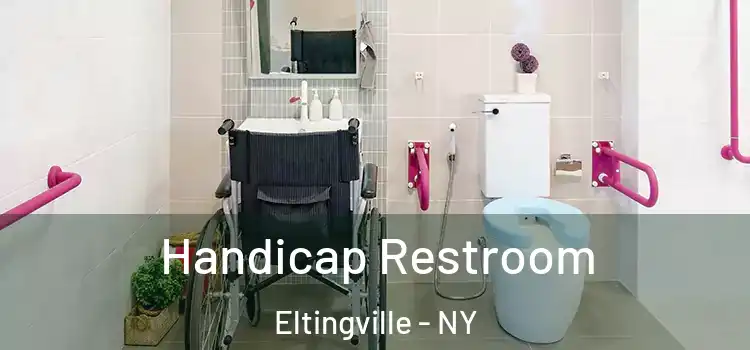 Handicap Restroom Eltingville - NY