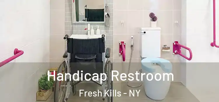 Handicap Restroom Fresh Kills - NY