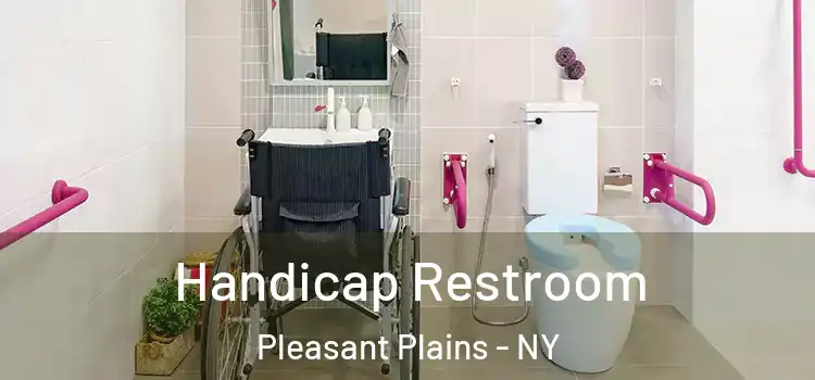 Handicap Restroom Pleasant Plains - NY