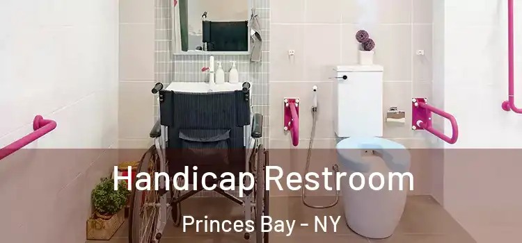 Handicap Restroom Princes Bay - NY