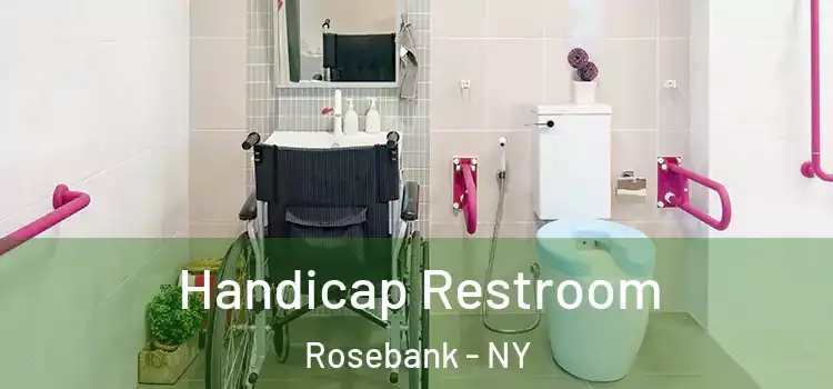 Handicap Restroom Rosebank - NY