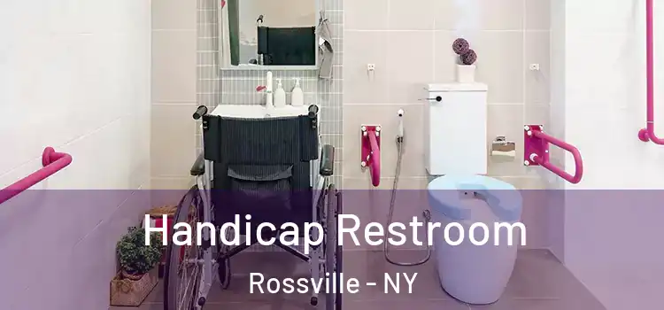 Handicap Restroom Rossville - NY