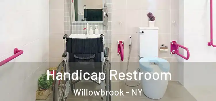 Handicap Restroom Willowbrook - NY